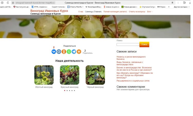 Виноград Ивановых Курск – Главная страница Скриншот главной страницы сайта "Виноград Ивановых Курск"
