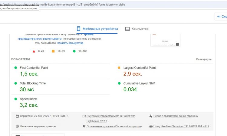 Мобильная по Page Speed Insights FCP LCP TBT CLS SI Скорость загрузки сайта "Виноград Ивановых Курск" с показателями, мобильная версия