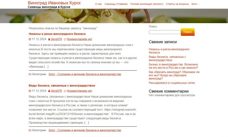 Результат поиска Скриншот результата поиска на сайте