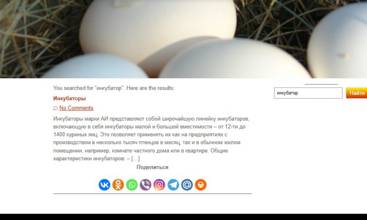 Страница с результатами поиска товаров Скриншот страницы с результатами поиска на сайте